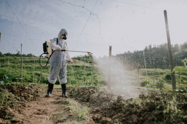 Best Local Pest Control Services  in King, NC